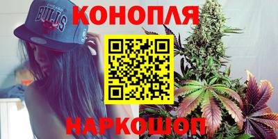 сатива Шелехов