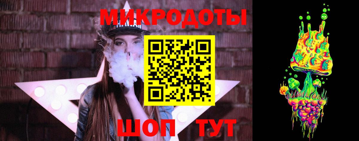 Галлюциногенные грибы Psilocybine cubensis Бердск